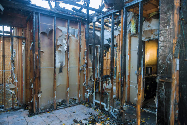 Professional Fire Damage Removal technician working in Venersborg, WA